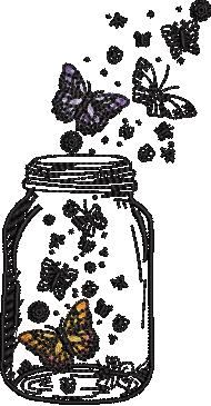 Butterflies In Jar