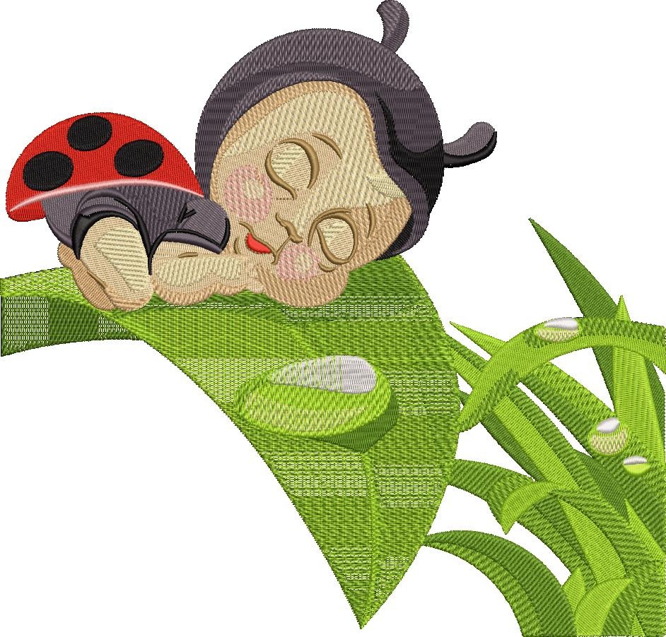 Sleeping Lady Bug Sleeping Lady Bug