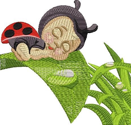 Sleeping Lady Bug Sleeping Lady Bug