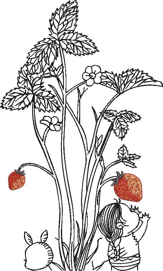 Strawberry Flower