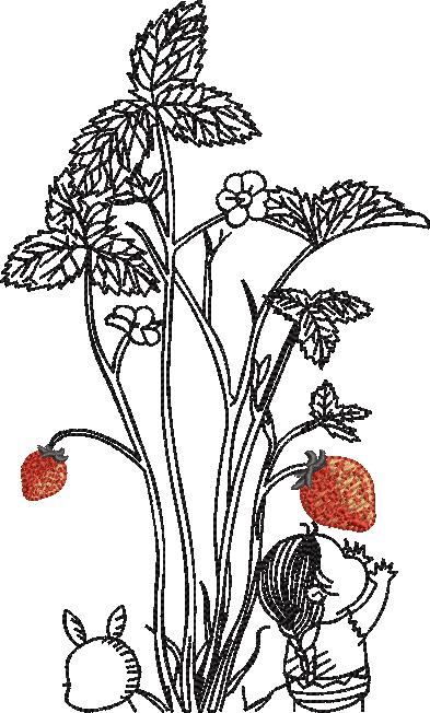 Strawberry Flower