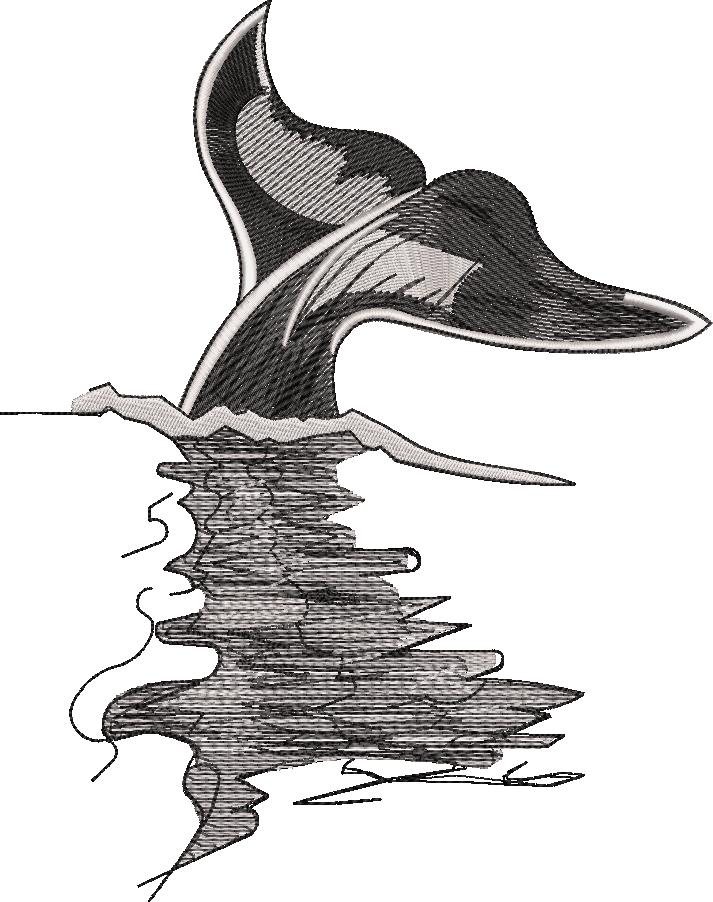Whale Fish