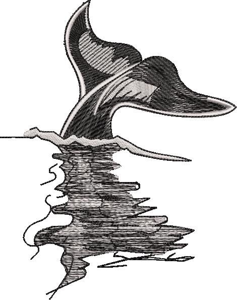 Whale Fish