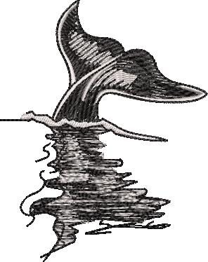 Whale Fish