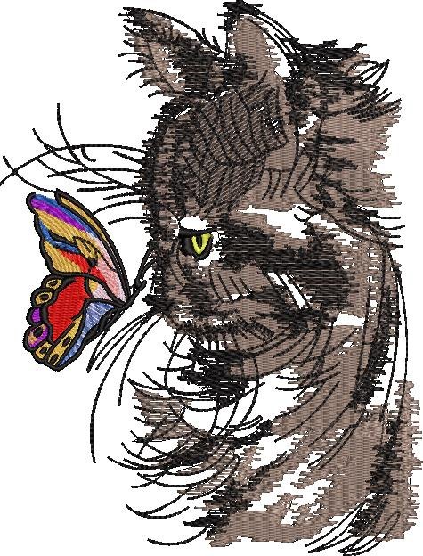 Butterfly Cat