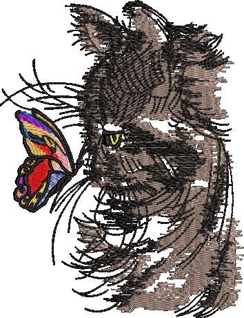 Butterfly Cat