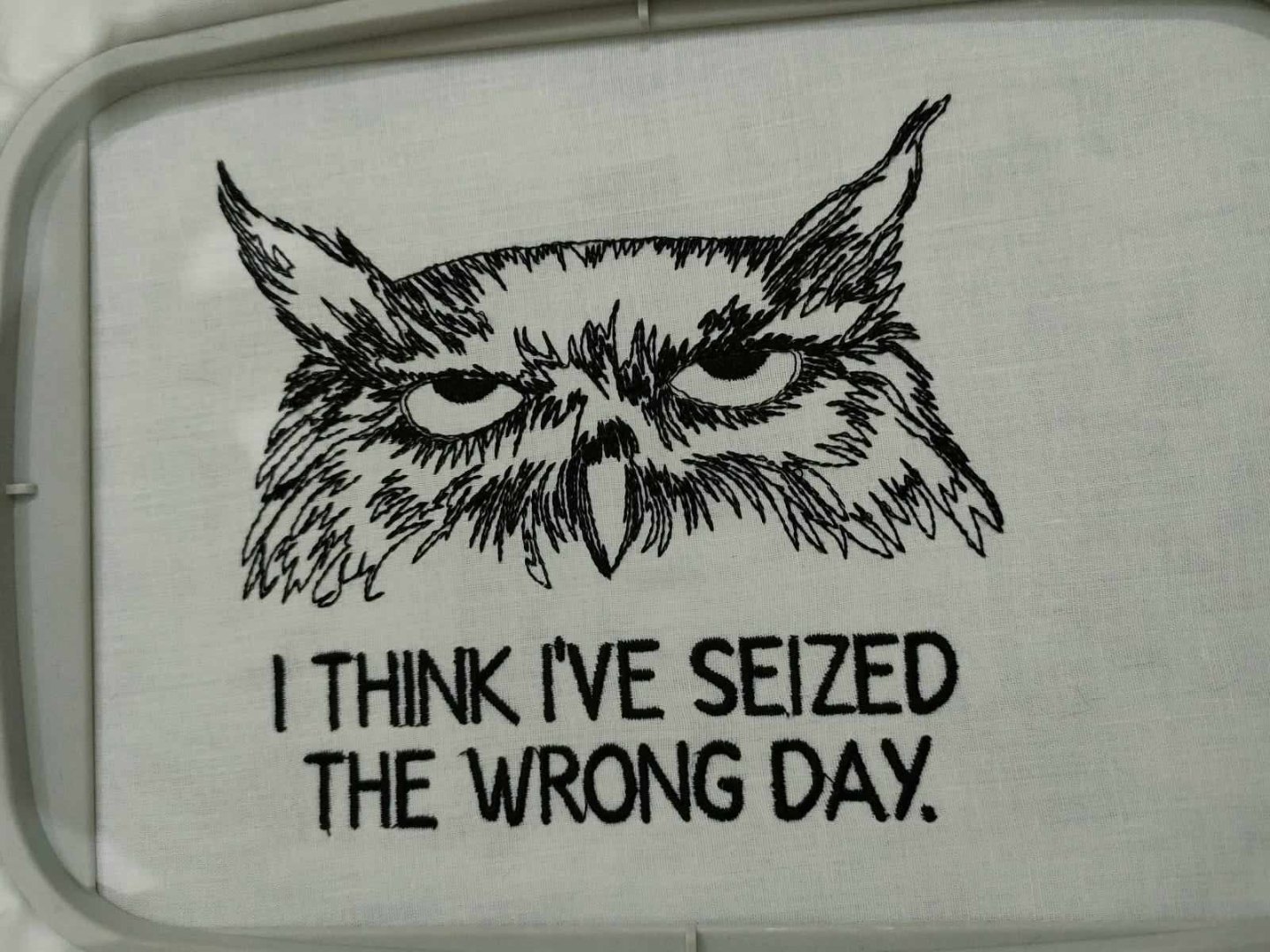 Seized the Wrong Day Grumpy Owl Seized the Wrong Day Grumpy Owl