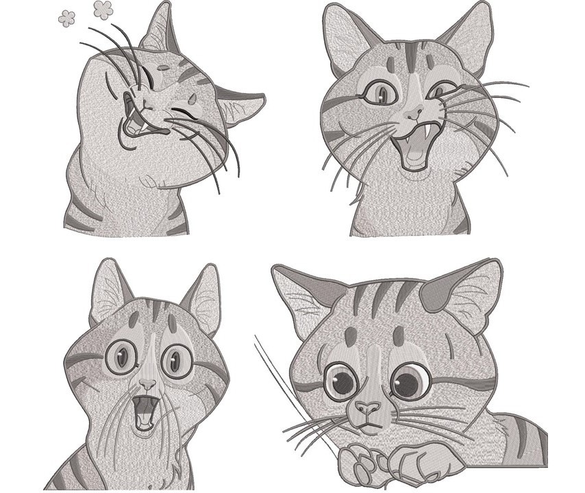 Cat Collection Cat Collection