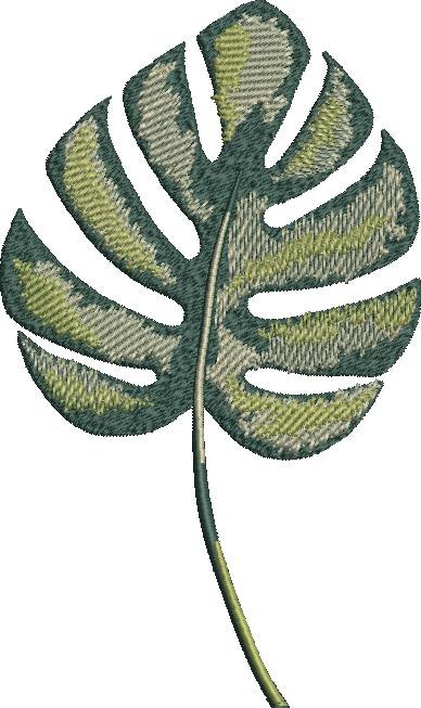 Monstera Leaf Monstera Leaf