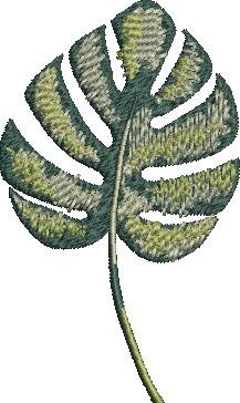 Monstera Leaf Monstera Leaf