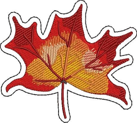 Autumn Leaf