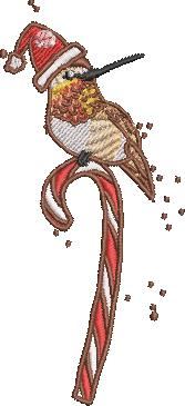 Christmas Hummingbird Christmas Hummingbird