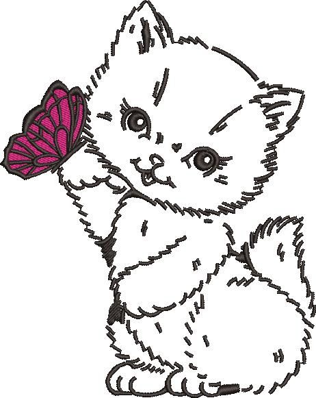 Kitten And Butterfly Kitten And Butterfly