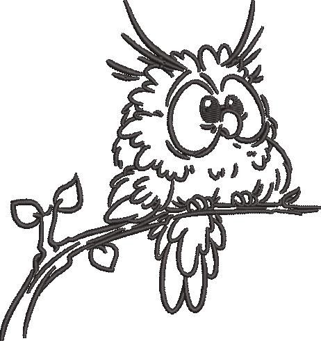 Baby Owl On A Branch Baby Owl On A Branch