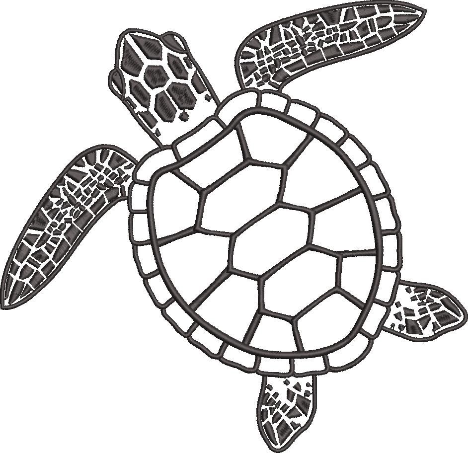 Tortoise Tortoise