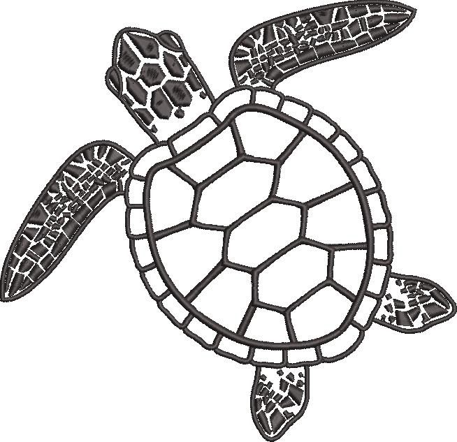 Tortoise Tortoise