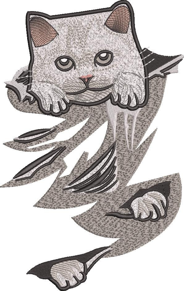 Cat In A Scratched Pocket Cat In A Scratched Pocket