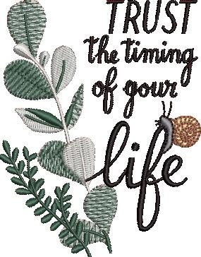 Trust The Timing Of Your Life