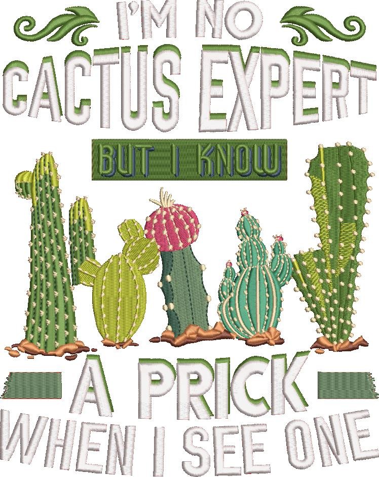 No Cactus Expert No Cactus Expert
