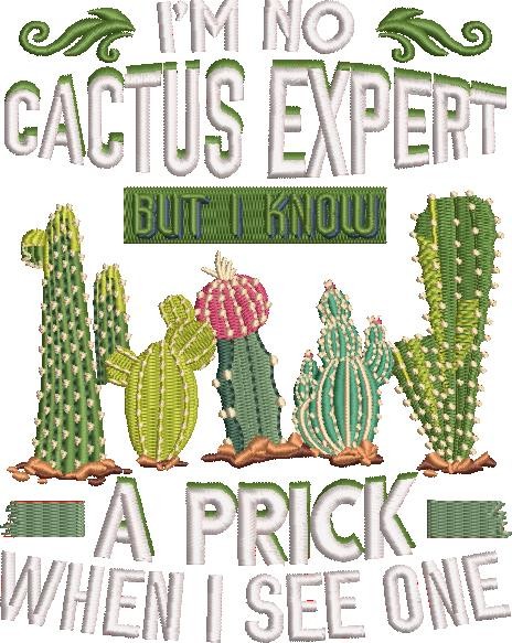 No Cactus Expert No Cactus Expert