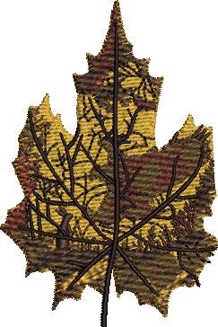 Maple Leaf Art