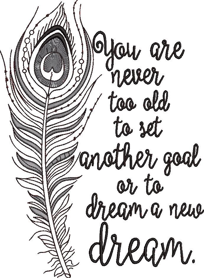 Never Too Old Quote Never Too Old Quote
