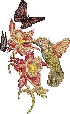 Hummingbird, Butterflies And Flowers Hummingbird, Butterflies And Flowers
