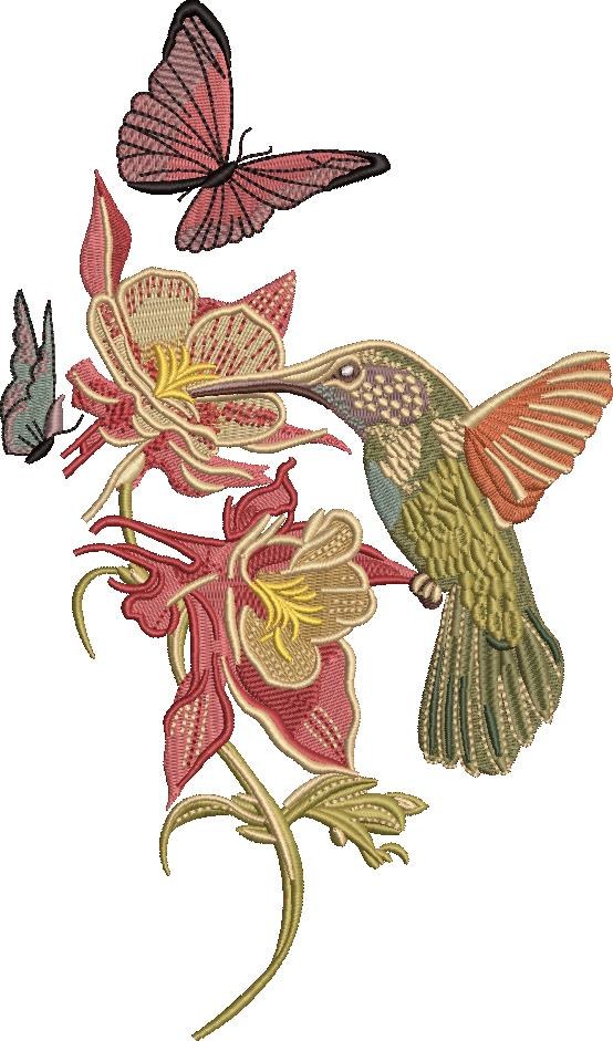 Hummingbird, Butterflies And Flowers Hummingbird, Butterflies And Flowers