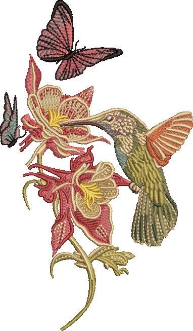 Hummingbird, Butterflies And Flowers Hummingbird, Butterflies And Flowers