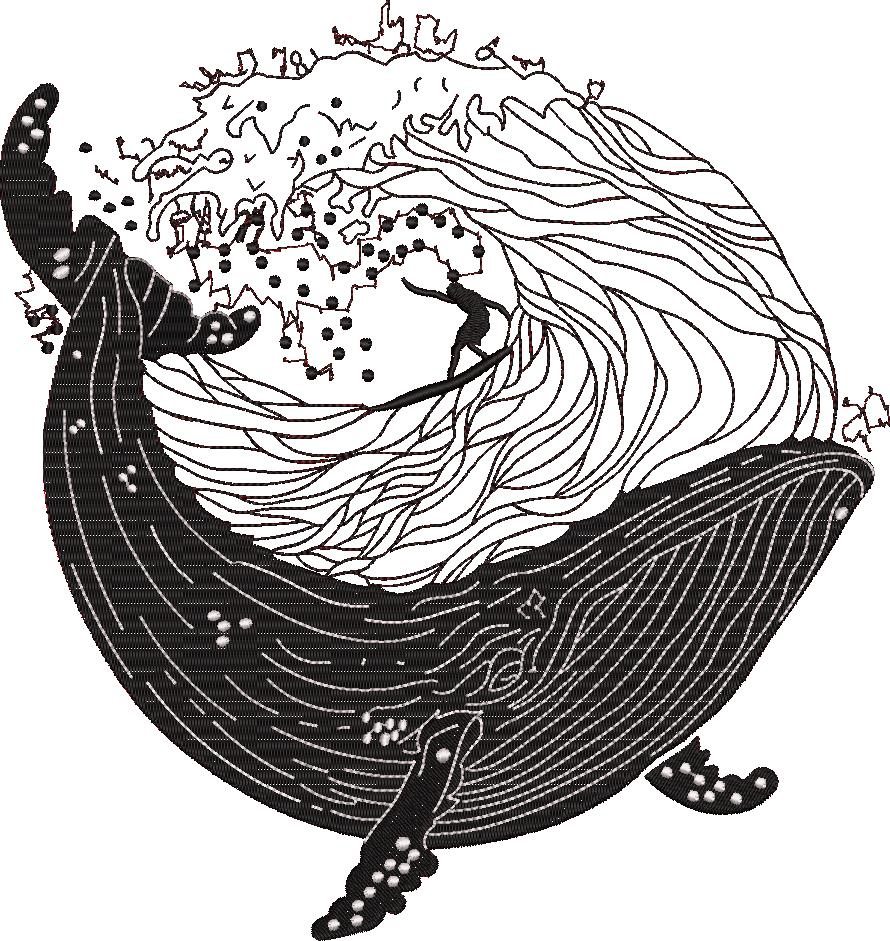 Surfing With A Whale Surfing With A Whale
