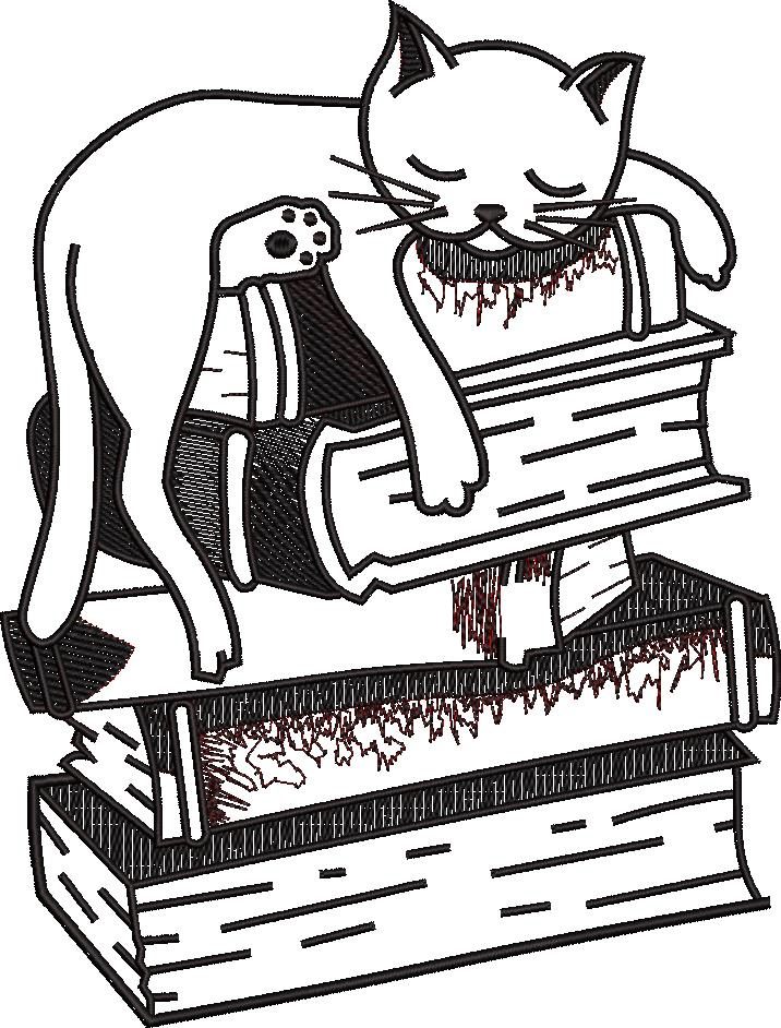 Cat Sleeping On Books Cat Sleeping On Books
