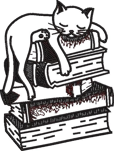 Cat Sleeping On Books Cat Sleeping On Books