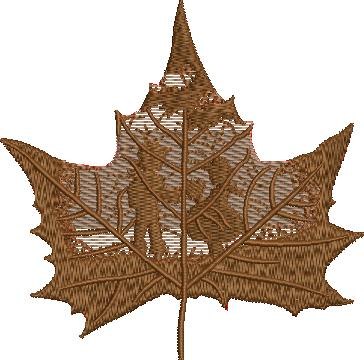 Scene In A Maple Leaf Scene In A Maple Leaf