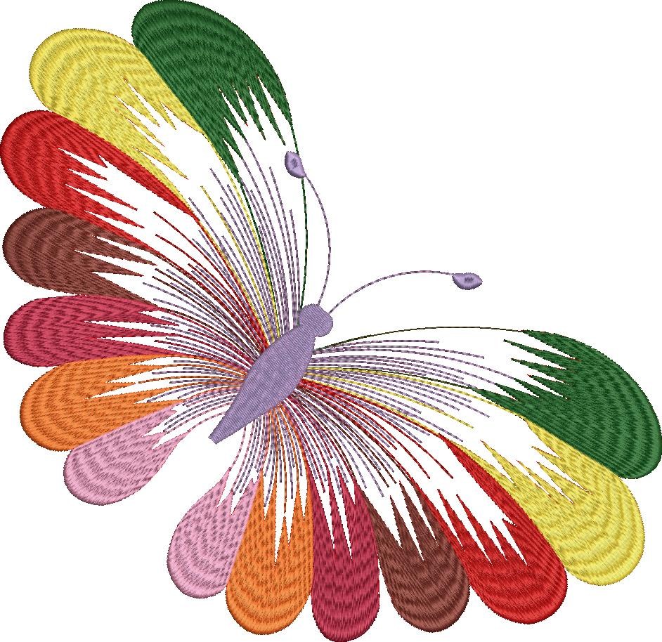 Colourful Butterfly