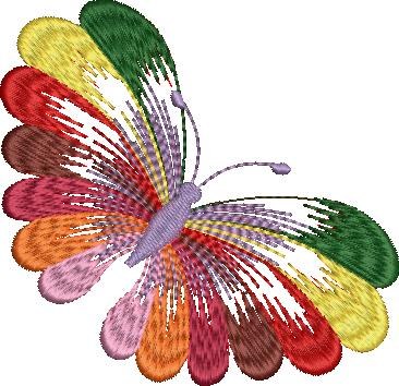 Colourful Butterfly