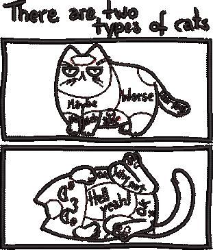 There Are Two Types Of Cats There Are Two Types Of Cats