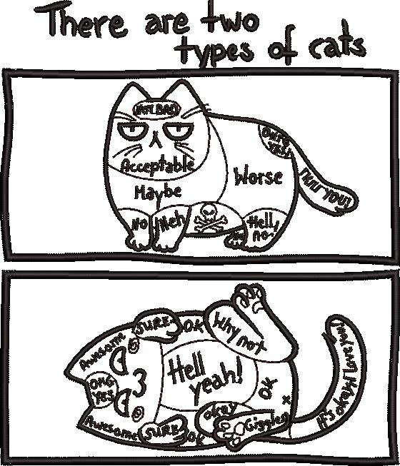 There Are Two Types Of Cats There Are Two Types Of Cats