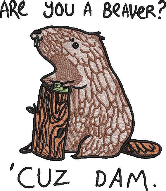 Are You A Beaver Funny Squirrel Quote Are You A Beaver Funny Squirrel Quote