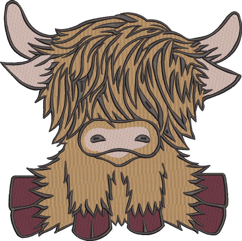 Cute Highland Calf Cute Highland Calf