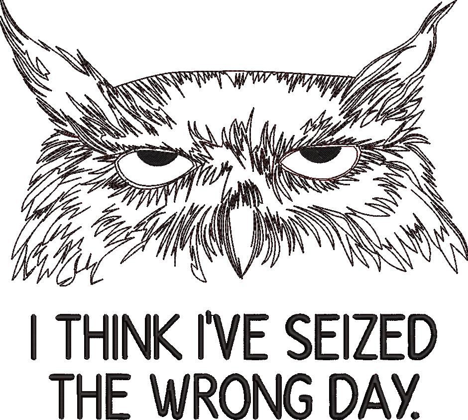 Seized the Wrong Day Grumpy Owl Seized the Wrong Day Grumpy Owl