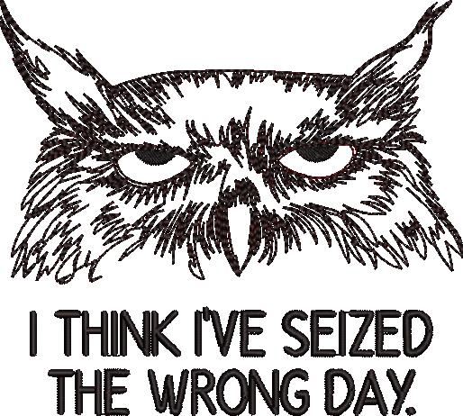 Seized the Wrong Day Grumpy Owl Seized the Wrong Day Grumpy Owl
