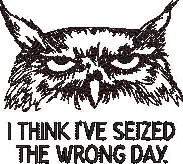 Seized the Wrong Day Grumpy Owl Seized the Wrong Day Grumpy Owl