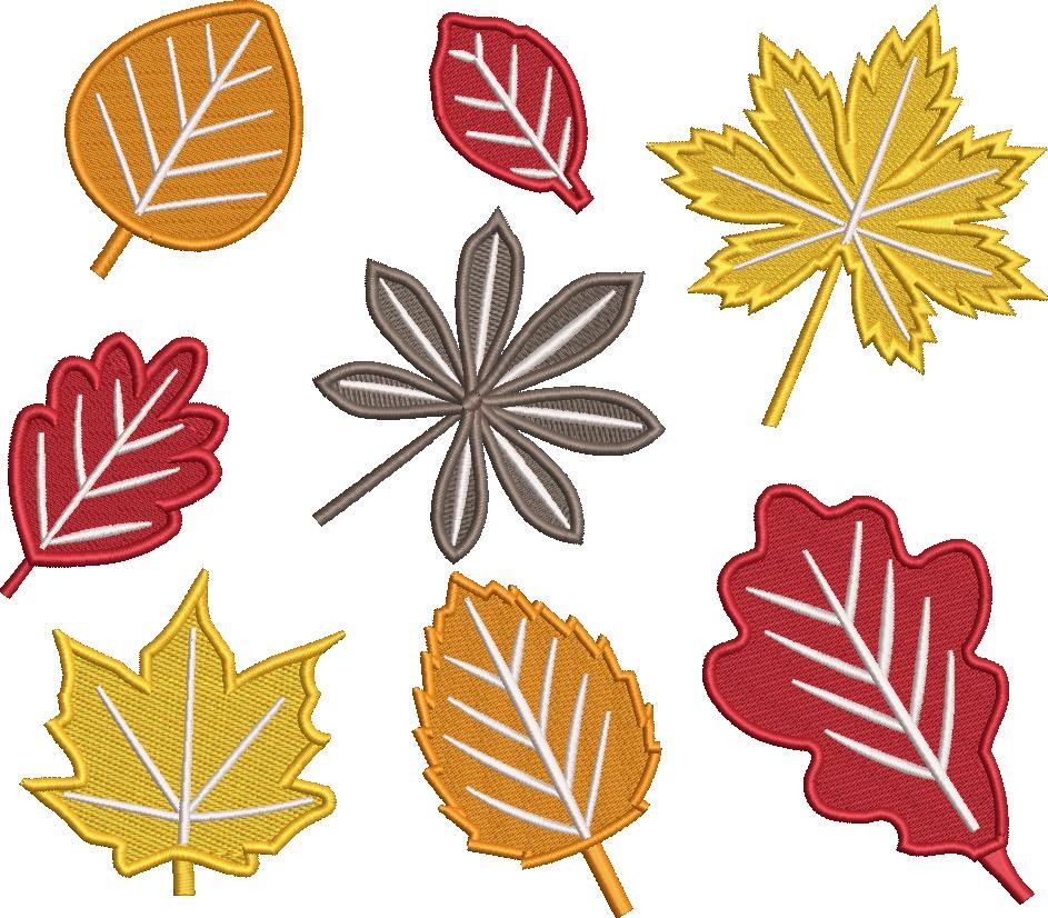 Colorful Leaf Pattern