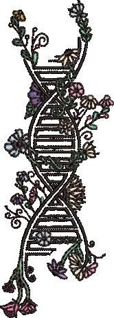 Nature In My DNA Nature In My DNA
