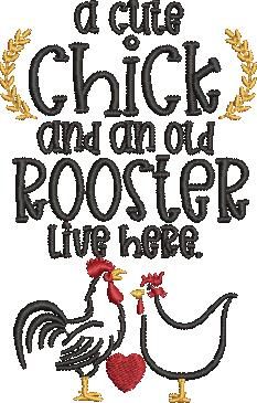 Cute Chicken And An Old Rooster Cute Chicken And An Old Rooster