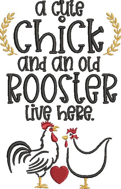 Cute Chicken And An Old Rooster Cute Chicken And An Old Rooster