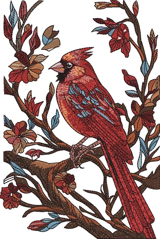 Cardinal in Nature Cardinal in Nature