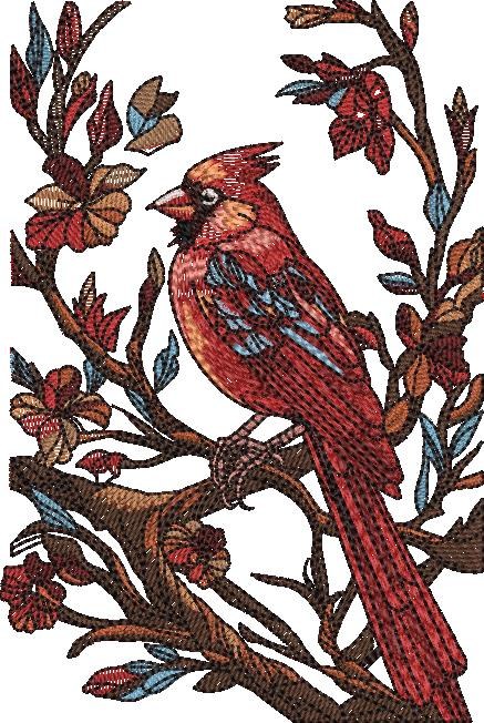 Cardinal in Nature Cardinal in Nature