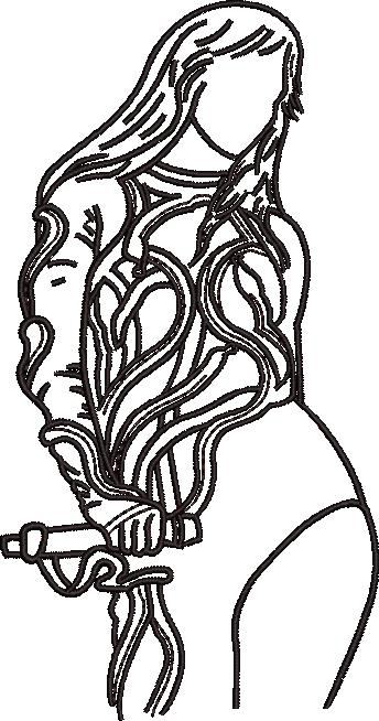 Taylor Swift's Line Art Taylor Swift's Line Art