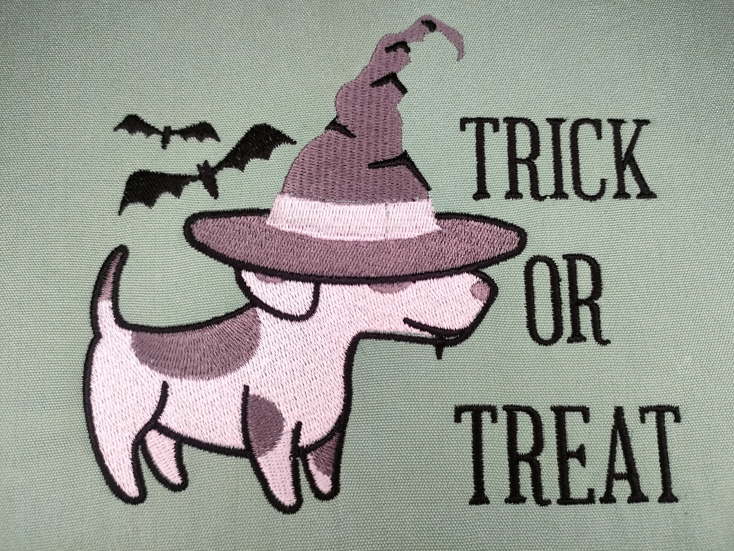 Trick or Treat Witch Dog Trick or Treat Witch Dog